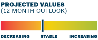 12 month projected values for lumber are stable but slightly decreasing.